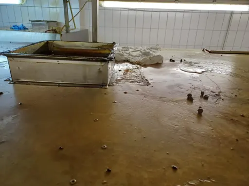 Professionelle Küchenreinigung