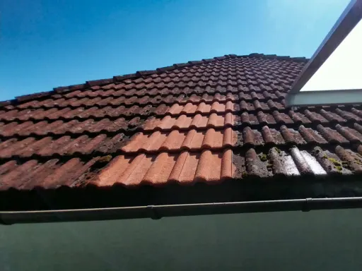 Dachreinigung